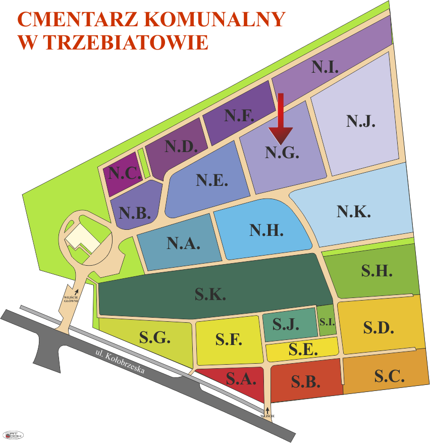 Grobonet Wyszukiwarka Osob Pochowanych Cmentarz Komunalny W Trzebiatowie