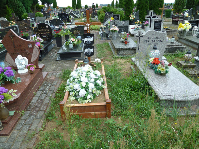 Cezary Sokołowski 1972 Trzebiatów - Grobonet - Wyszukiwarka osób pochowanych