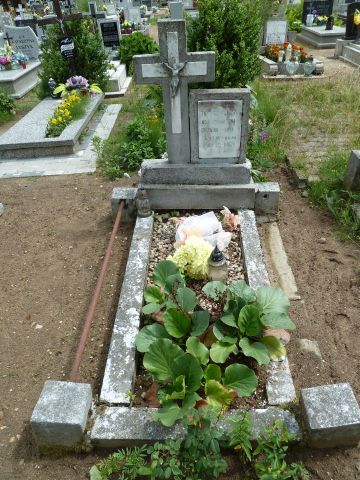 Anna Czerniak 1873 Trzebiatów - Grobonet - Wyszukiwarka osób pochowanych