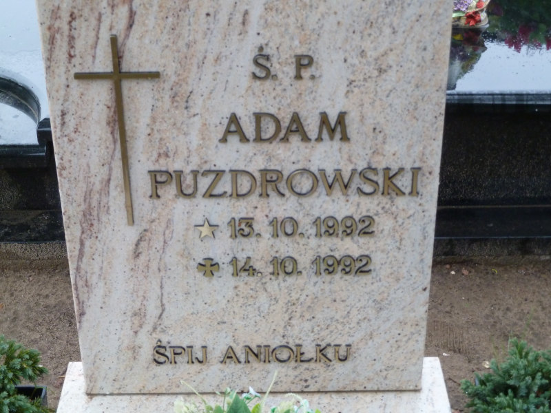 Adam Puzdrowski 1992 Trzebiatów - Grobonet - Wyszukiwarka osób pochowanych