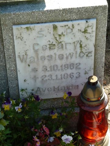 Cezary Walesiewicz 1962 Trzebiatów - Grobonet - Wyszukiwarka osób pochowanych