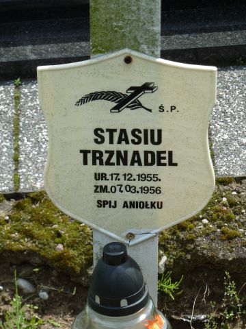 Grób Stanisław Trznadel