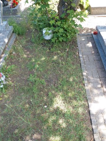 Grób Maciej Janiszewski